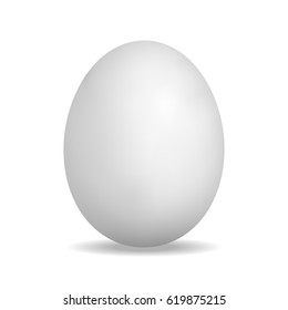 realistic egg. Vector illustration isolated on white background.