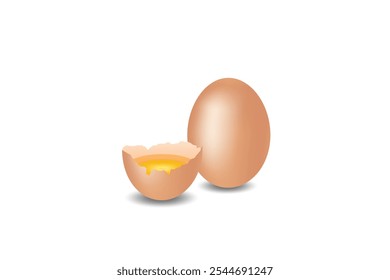 Realistic egg vector on white background. chicken egg, egg farm, eggs vector.