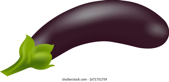 Realistic eggplant fresh vegetables on white background vector illustration