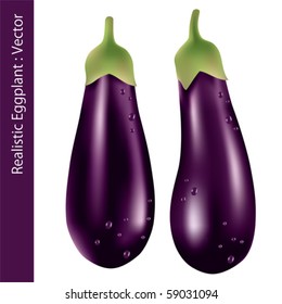 Realistic Eggplant. Illustration vector.