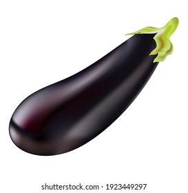 realistic eggplant on transparent background. high quality vector 