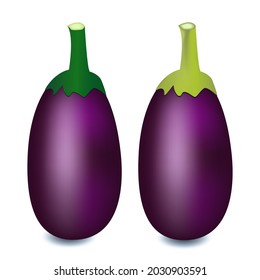 Realistic eggplant on white background. fresh eggplant high quality in vector design