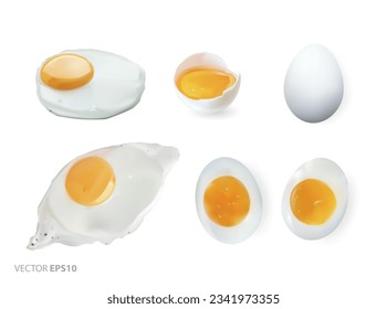 Realistic eggs: fried eggs, boiled eggs, raw egg. Vector realistic illustration.