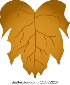 Realistic Elegant Autumn leaves