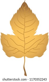 Realistic Elegant Autumn leaves