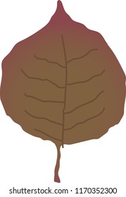 Realistic Elegant Autumn leaves
