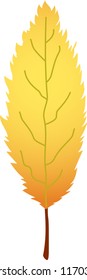 Realistic Elegant Autumn leaves