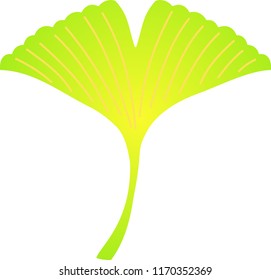 Realistic Elegant Autumn leaves