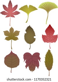 Realistic Elegant Autumn leaves set