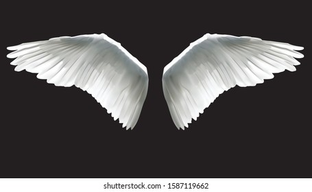 Realistic elegant white angel wings on black background.