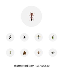 Realistic Emmet, Ant, Wasp And Other Vector Elements. Set Of Insect Realistic Symbols Also Includes Beetle, Dragonfly, Fly Objects.
