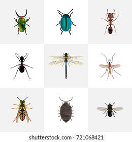Realistic Emmet, Bee, Bug And Other Vector Elements. Set Of Bug Realistic Symbols Also Includes Sting, Alive, Dragonfly Objects.
