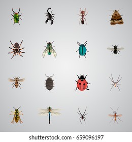 Realistic Emmet, Bee, Ladybird And Other Vector Elements. Set Of Insect Realistic Symbols Also Includes Pismire, Fly, Ant Objects.