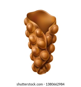 Realistic empty Hong Kong waffle cone without ice cream. Delicious bubble waffle with eaten stuffing. Sweet summer snack, restaurant menu vector design.