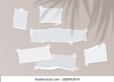 Realistic empty torn paper notes with sticky tape on beige background with palm leaves shadow overlay. Vector illustration of mood board mockup with ripped pieces of notebook sheets
