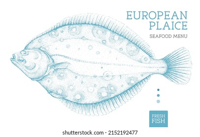 Realistic European Plaice Fish Vector Illustration. Seafood Menu Design