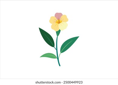 Realistic Evening Primrose flower vector art illustration