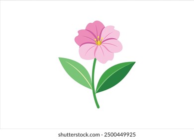 Realistic Evening Primrose flower vector art illustration