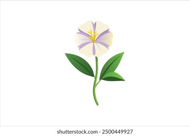 Realistic Evening Primrose flower vector art illustration