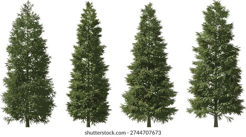Realistic Evergreen Conifer Tree Set Isolated on White Background for Landscape Design