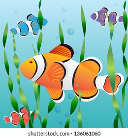 Realistic exotic colorful fish in aquarium swimming undewater