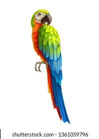 Realistic exotic parrot with colorful feather. Colorful macaw, cockatoo. Vector wild tropical birds with bright feather. Summer holiday design animals.