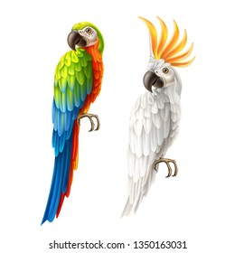 Realistic exotic parrot set. Colorful macaw, and white cockatoo. Vector wild tropical birds with bright feather. Summer holiday design animals.