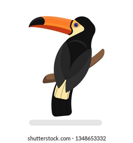 Realistic exotic tropical toucan bird. Adorable wild animal in the jungle. Isolated vector illustration in cartoon style