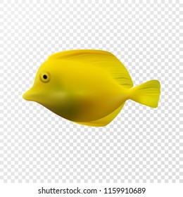 Realistic exotic yellow fish. Vector illustration eps10, isolated on transparent background