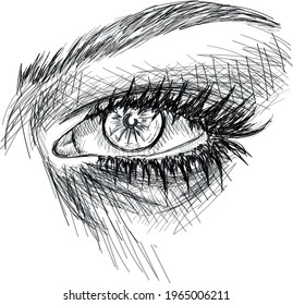 Realistic eye art - Sketch vector