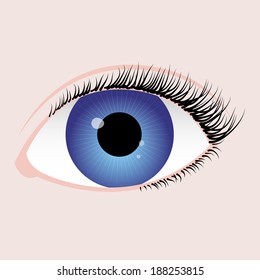 realistic eye with blue iris, black algae and reflection on pupil