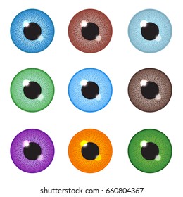 Realistic eyeball set. Vector illustration.