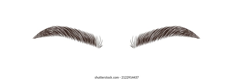 Las cejas realistas sobre el fondo blanco. maquillaje permanente y microblando. Logo de Brow studio. Vector lineal Ilustración en estilo moderno minimalista.