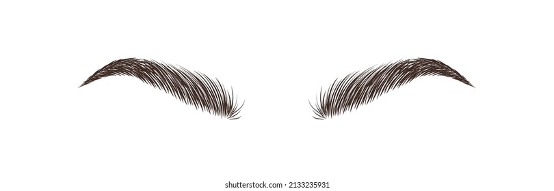 Realistic eyebrows on white background. Permanent make-up and microblading. Brow studio logo. Linear vector Illustration in trendy minimalist style.