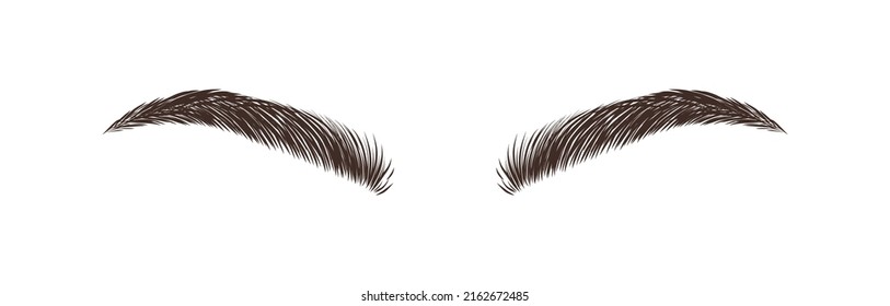 Realistic eyebrows on white background. Permanent make-up and microblading. Brow studio logo. Linear vector Illustration in trendy minimalist style.