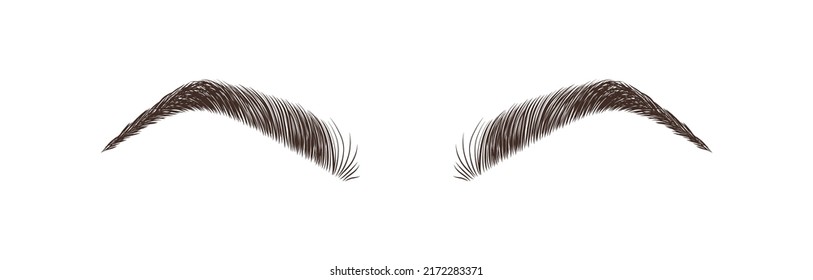 2,035 Brow outline Images, Stock Photos & Vectors | Shutterstock