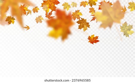Realistic falling autumn leaves. Autumn flying orange foliage on transparent background, isolated template vector illustration