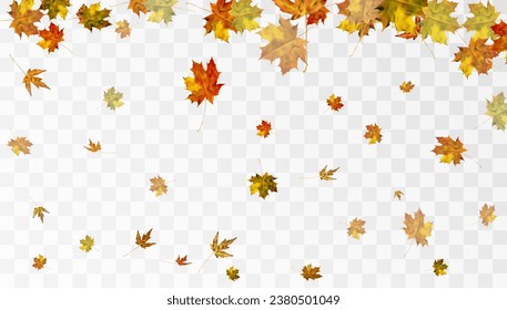 Realistic falling autumn leaves. Autumn flying orange foliage on transparent background, isolated vector illustration overlay effect.