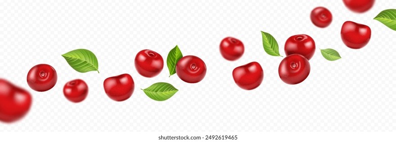 Cereza de caída realista con hojas sobre fondo transparente. Frutos voladores con efecto borroso.