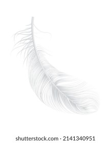Caída realista de plumas de pájaro blanco claro sobre ilustración vectorial de fondo en blanco