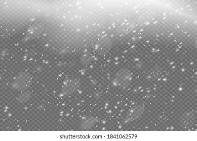 realistic falling snow or snowflakes. Isolated on transparent background - stock vector.