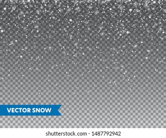 Realistic falling snow with snowflakes. Winter transparent background for Christmas or New Year card. Frost storm effect, snowfall, ice. Vector illustration.