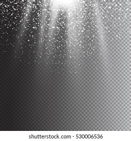 Realistic falling snowflakes. Isolated on transparent background. Christmas Lantern light effect. Vector illustration