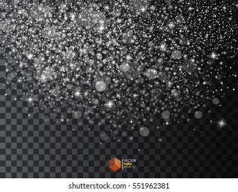 Realistic falling snowflakes. Isolated on transparent background. Vector illustration, eps 10.