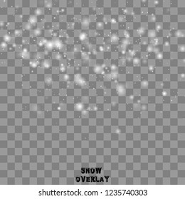 Realistic falling snowflakes. Snow overlay. Vector illustration.