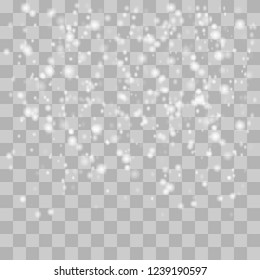 Realistic falling snowflakes.Snow overlay.Vector illustration.