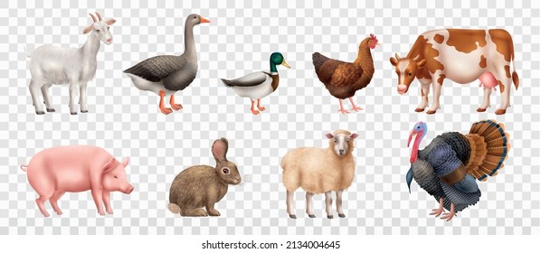 Realistic Farm Animals Set With Goose Goat Turkey Sheep Rabbit Cow Duck Hen Pig Isolated Against Transparent Background Vector Illustration