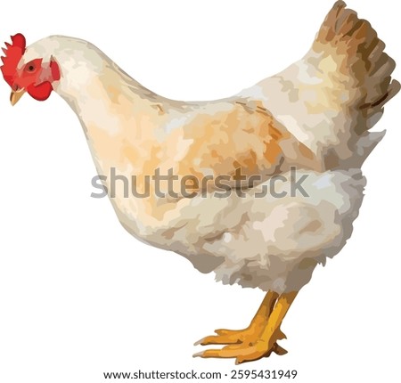 Realistic Farm Hen – Watercolor Style Poultry Illustration