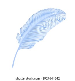 Realistic feather  elegant