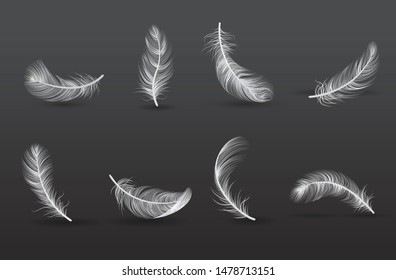 Realistic feather icon set with in different positions and from different sides vector illustration